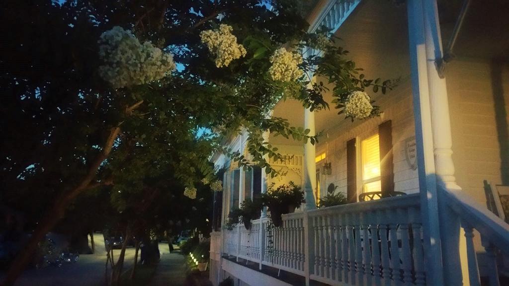 Pecan Tree Inn Beaufort Extérieur photo